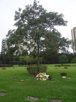 448.jpg