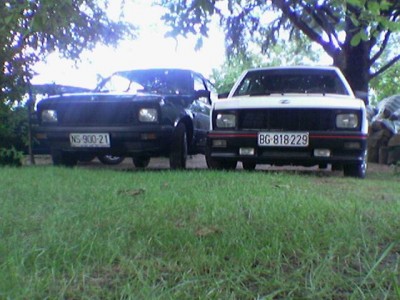 Slika(241).jpg