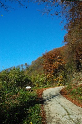 ZEM. UGANKA 8A.JPG