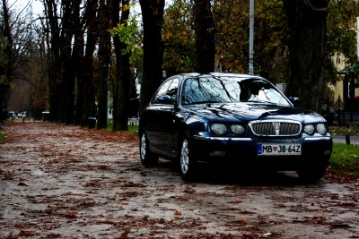 IMG_2779ps_m.jpg
