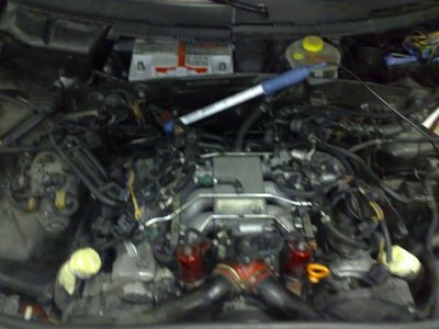 29102008234.jpg