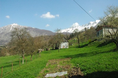 ZEM.UGANKA 10C.JPG