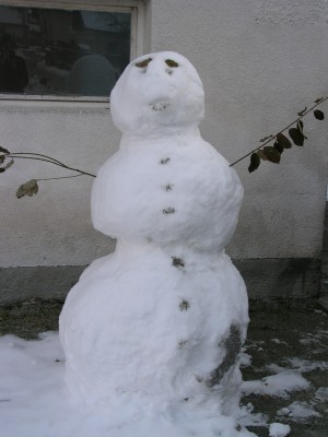 29.11.08.JPG