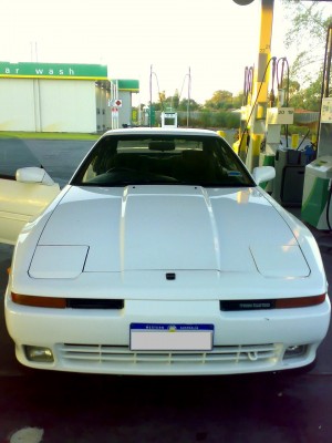 Ray33441.jpg