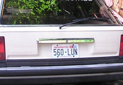 560.JPG