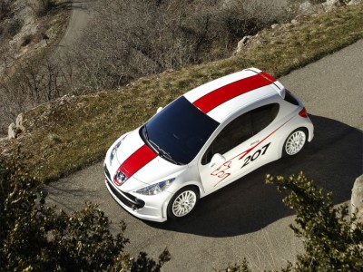 peugeot_207_rcup_manu_06_04.jpg