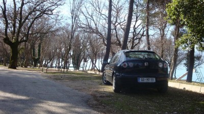 DSC02017.jpg