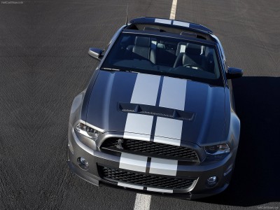 Ford-Mustang_Shelby_GT500_Convertible_2010_1600x1200_wallpaper_07[1].jpg