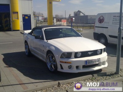 mustang1234567890.jpg