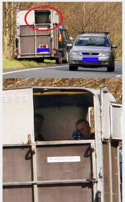 novi lipicanci.jpeg