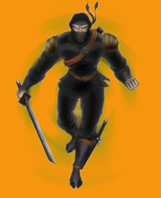 ninja1.jpg