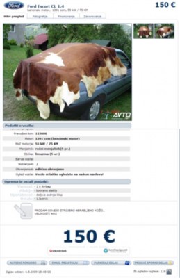 muuuu.jpg