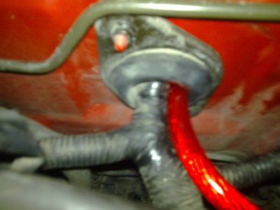 25072009083.jpg