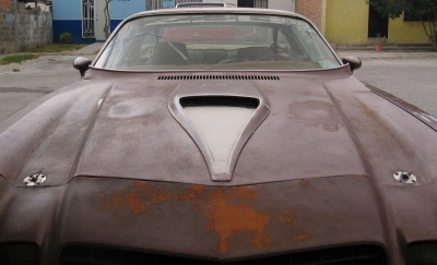 Picture 249.jpg