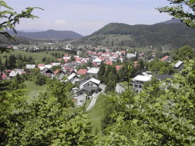 uganka263.jpg