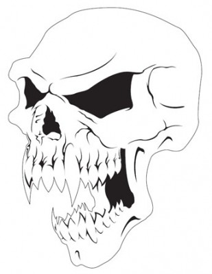 hbskull3.jpg