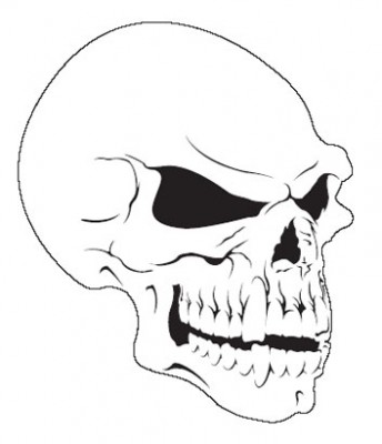 hbskull7.jpg