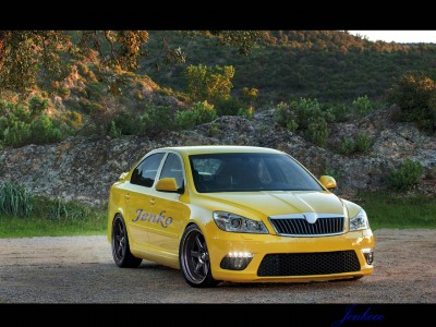 Jenko octavia RS.jpg