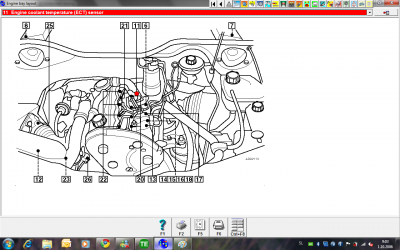 audi.png