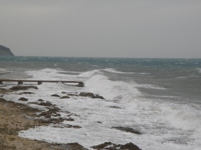 P3100036.JPG