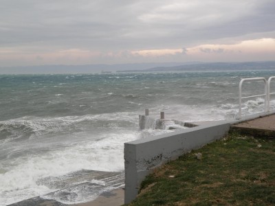 P3100033.JPG