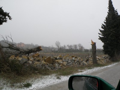 P3100051.JPG