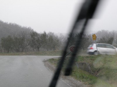P3100049.JPG