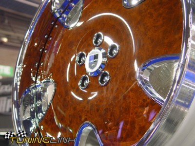 db_pts2005_4171.jpg