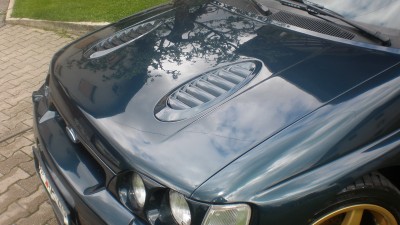 P5200099_resize.JPG