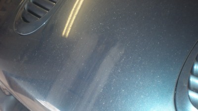 P5200094_resize.JPG