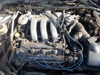 3543670064_large.jpg