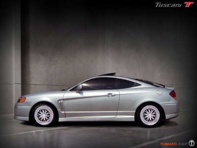 tiburon.jpg