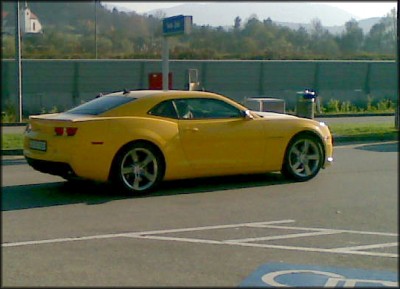 Camaro_lukovica.jpg