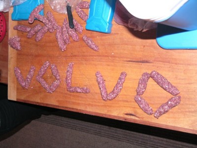 Piknik Volvo Chevapchichi.jpg