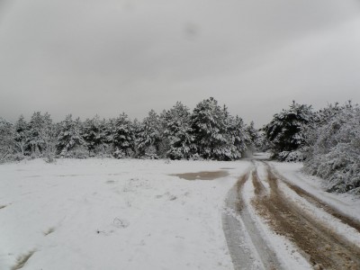 PB260094.JPG