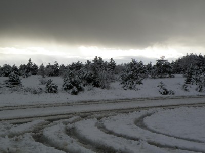 PB260097.JPG