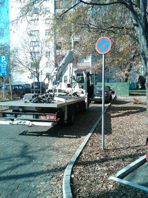 IMG00717-20101104-1135.jpg