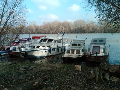 IMG00777-20101205-1213.jpg
