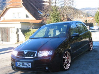 skoda copy.jpg