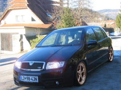 skoda copy¸1.jpg
