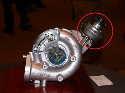 800px-Turbo-p1020673.jpg