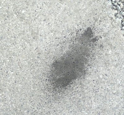 11012012281.jpg