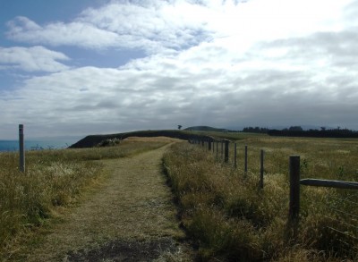 NZ 260.jpg