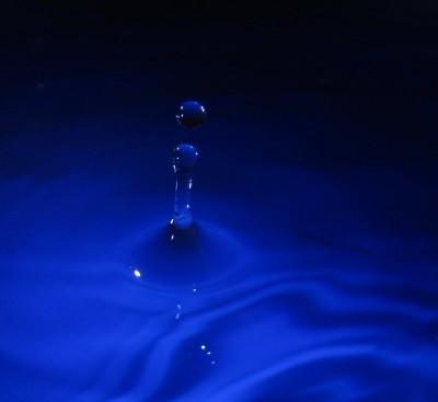 IMG_4262c_resize.jpg