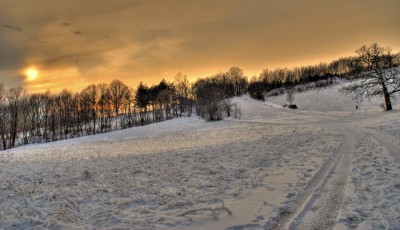 DSC_7511_2_3_n.jpg