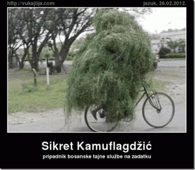 ATT00001.gif
