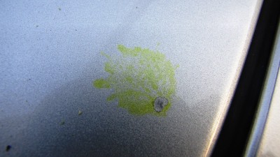 IMG_3927.JPG