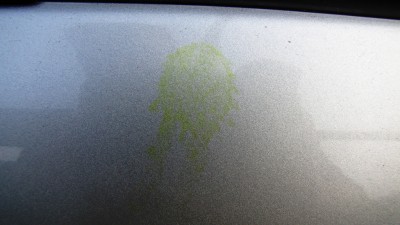 IMG_3928.JPG