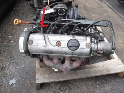 u_polo_engine_fb31571_2.jpg