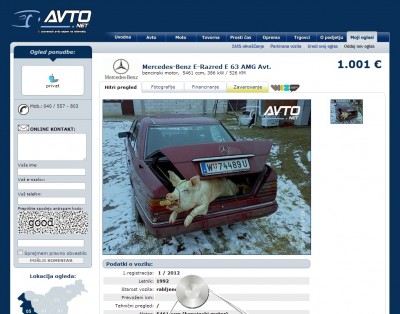 prašič.jpg